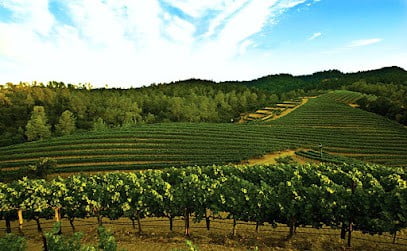 sonoma limo wine tours