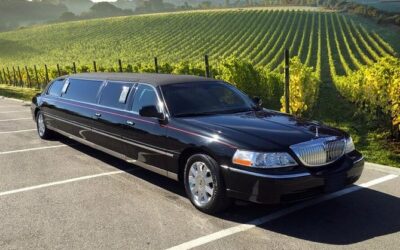 Top 10 Best Limo Wine Tours in Napa, CA | Santa Rosa Limo