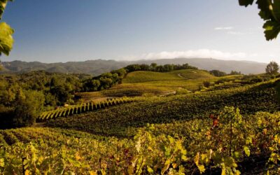 Touring Sonoma & Napa Valley’s Best Wineries & Vineyards